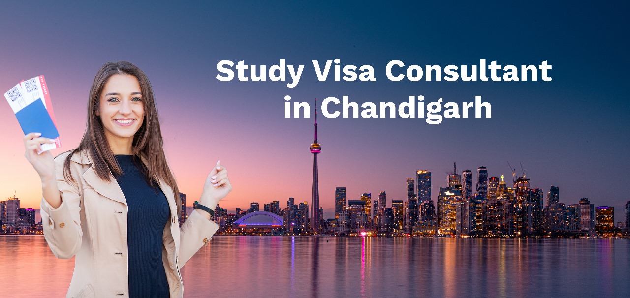 How Study Visa Consultants in Chandigarh Can Help You Achieve Your Dream